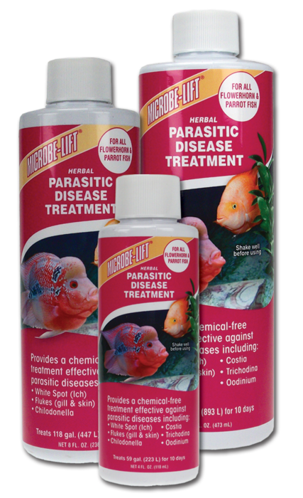 Herbal Parasitic Disease Treatment – Flowerhorn & Parrot Fish | Microbe