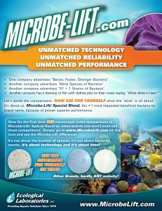 Bacteria Video Sheet Aquarium scaled