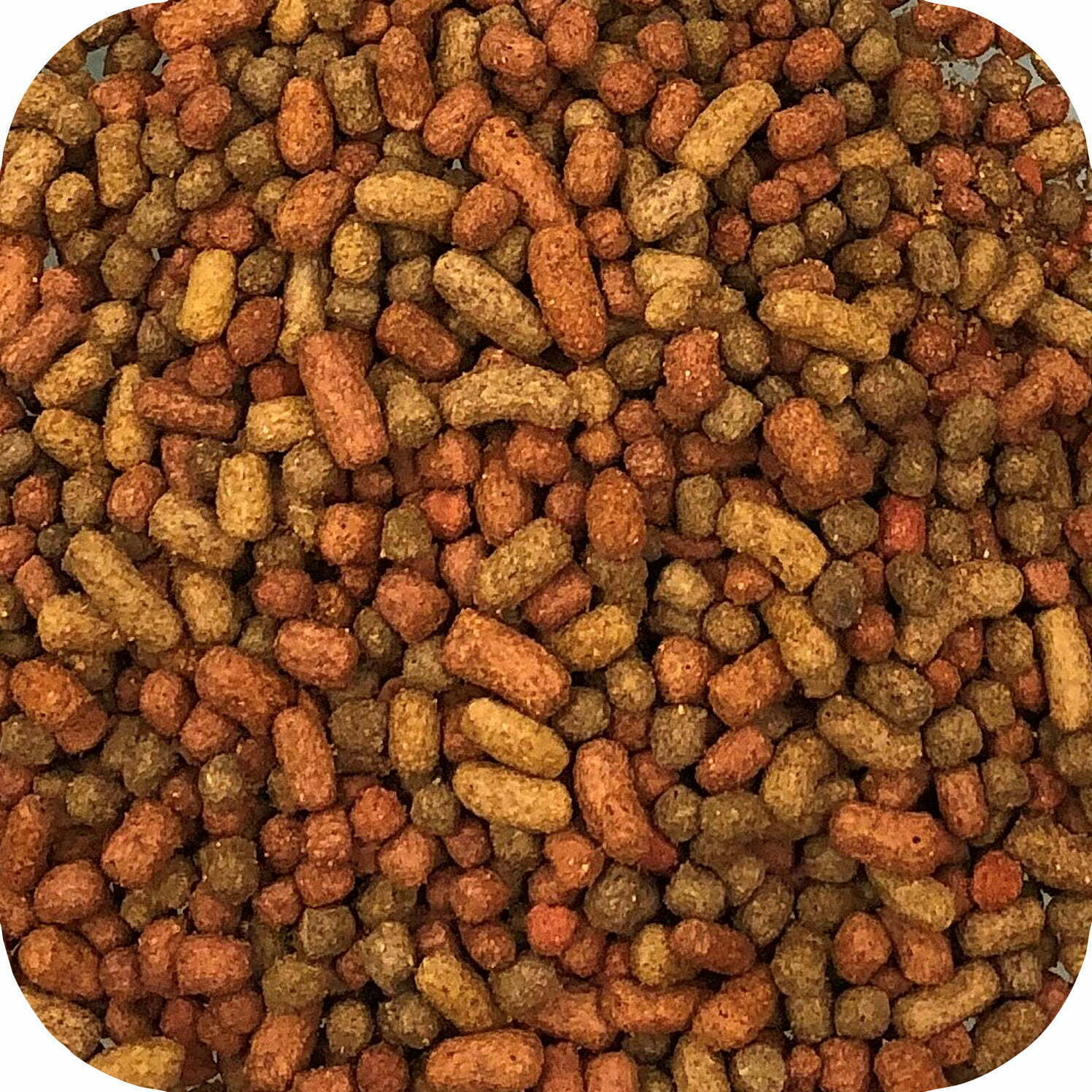 Details about   Microbe-Lift® Variety Mix Floating Pellets and Sticks 