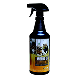 Dogs thumb Dogs thumb