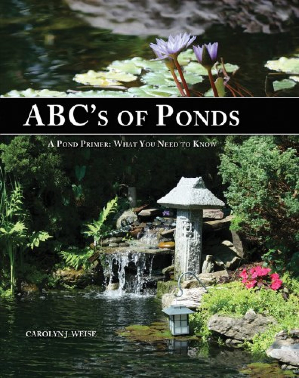 ABC’s of Ponds