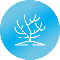 healthierenvironment
